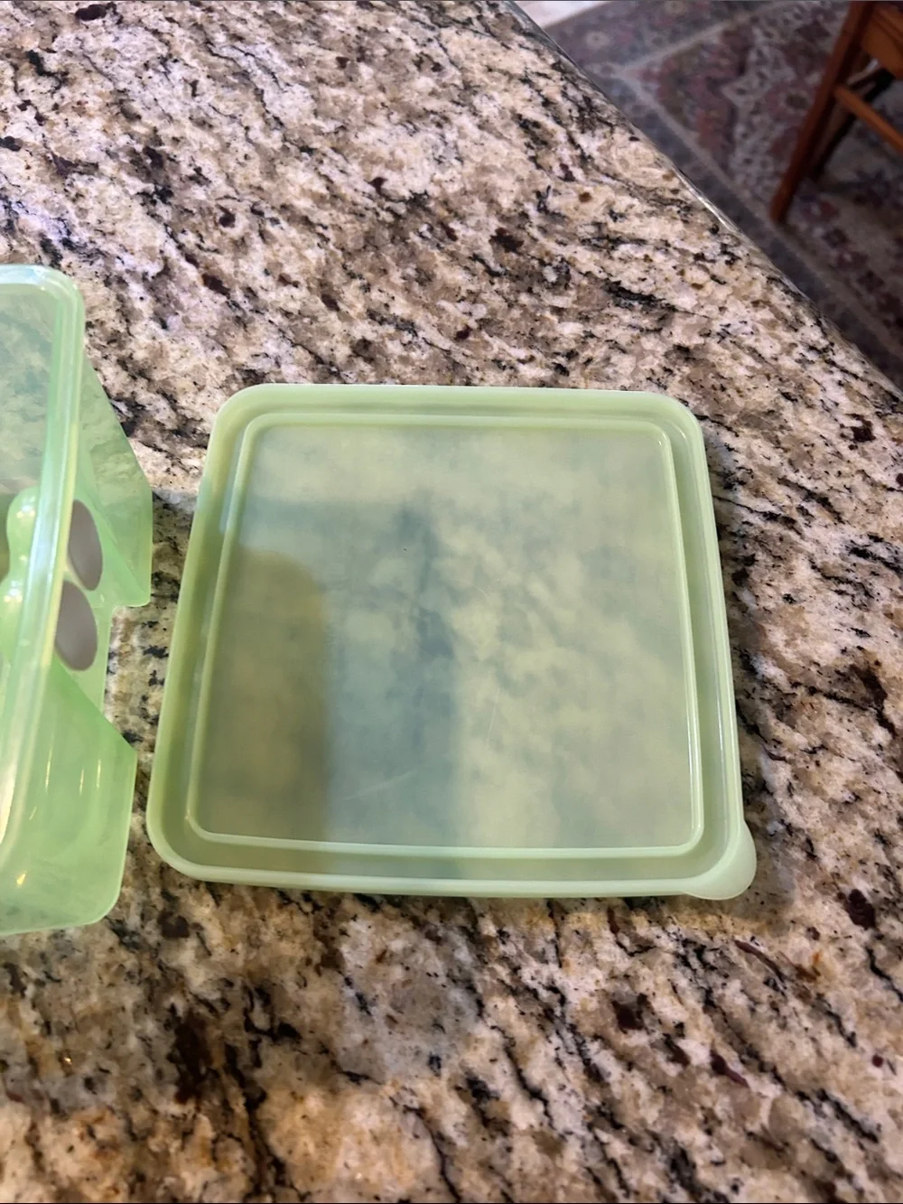 Green Vegetables Food Storage Container with Lid